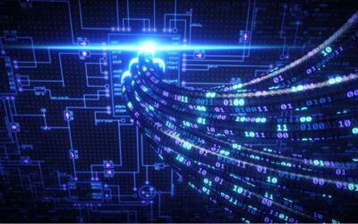 What CAT Cable Are You?